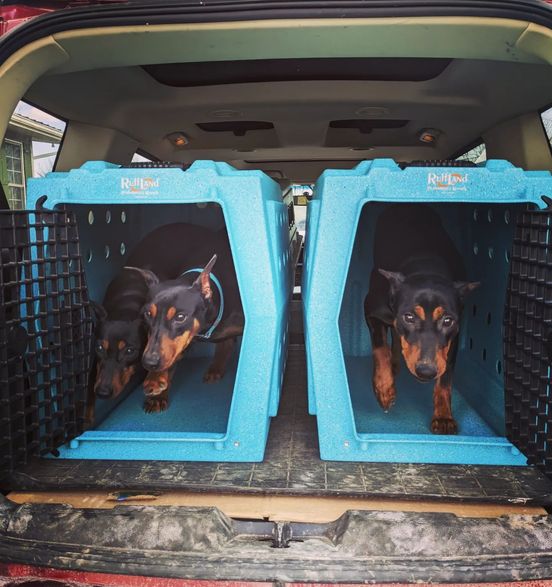Ruff land store xl kennel